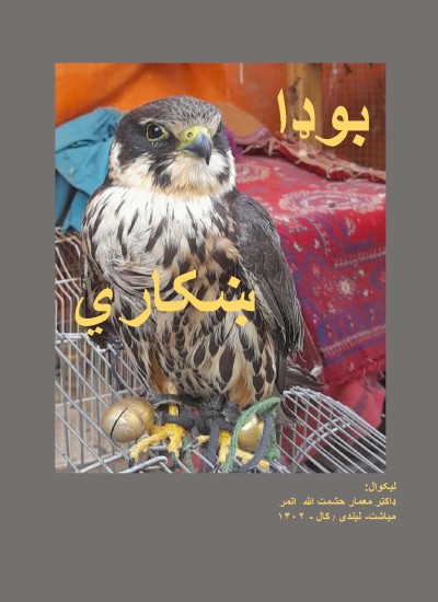 بوډا ښکاري