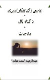 عاصي (ګناهکار) سړی cover image