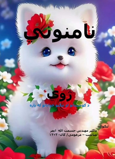 نامنوني ژوي
