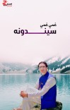 غمي غمي سيندونه cover image