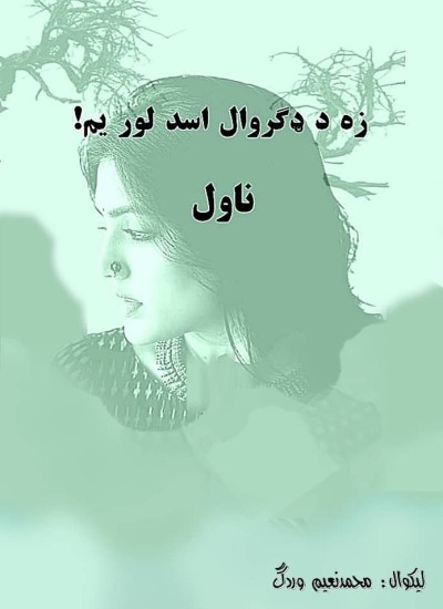 زه د ډګروال اسد لور یم (ناول)