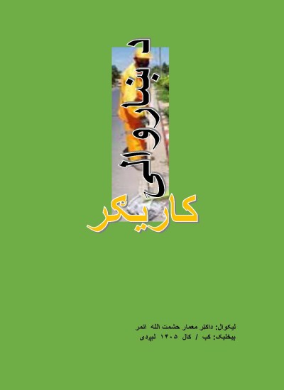 د ښاروالۍ کاریګر
