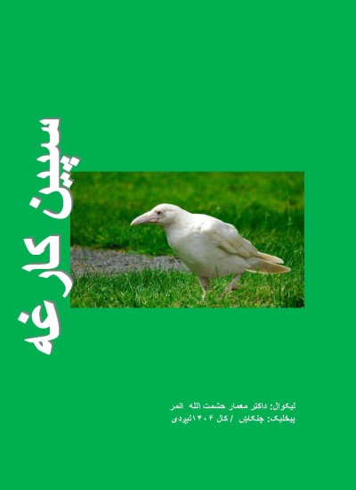 ۹۰- سپین کارغه