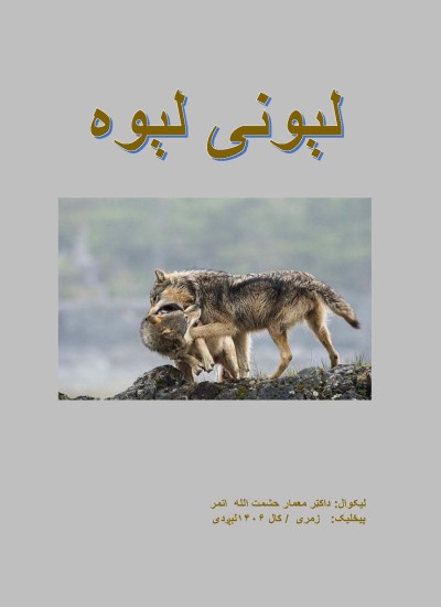 لېونی لېوه- ۹۱