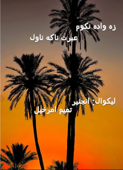 زه واده نکوم ناول
