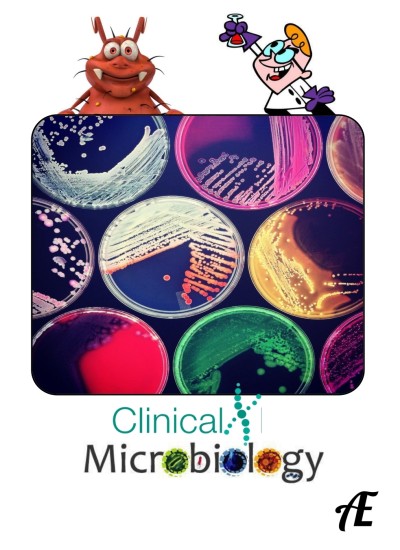 Practical Clinical Microbiology
