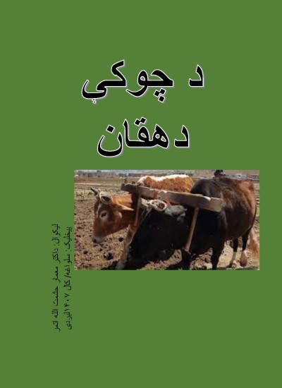 د چوکې دهقان-۱۰۹
