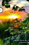 توحید ( دکوچنیانواو تنکــیو ځوانانـولپاره ) cover image