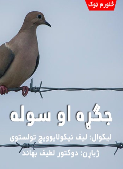 جګړه او سوله (څلورم ټوک)