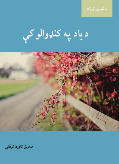 د باد په کنډوالو کې