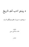 د پښتو ادب لنډ تاریخ cover image