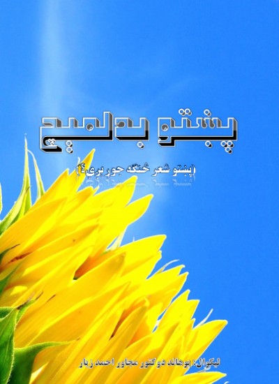 پښتو بدلمېچ