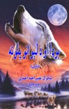 بوډا او د لېوانو پلونه cover image