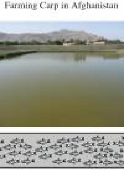 Fish Culture Manual